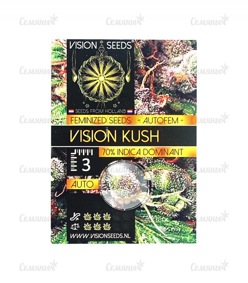 Семена сорта   Vision Kush Auto Fem (Vision Seeds) 