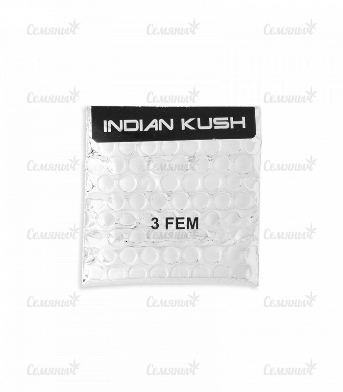 Семена сорта   Indian Kush fem (VIP seeds) 