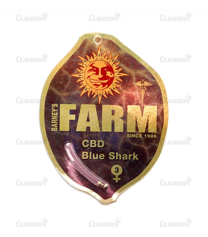 Семена сорта   CBD Blue Shark fem (Barneys Farm) 