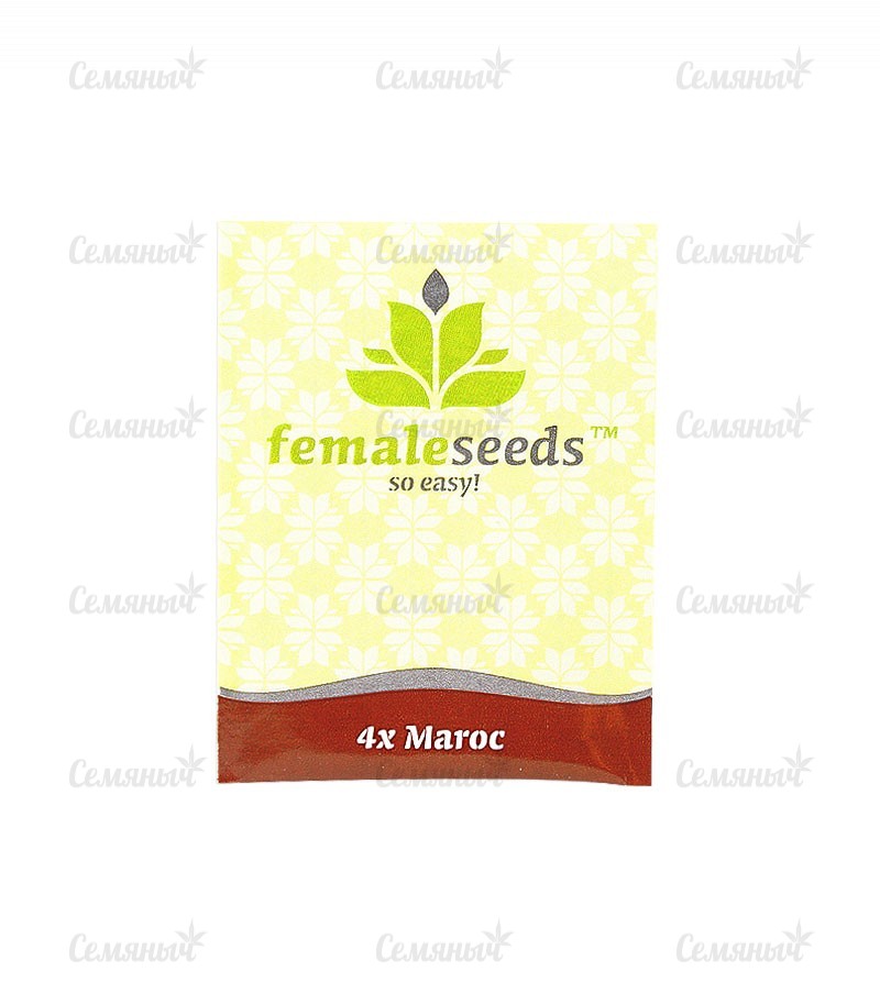 Семена сорта   Maroc fem (Female Seeds) 