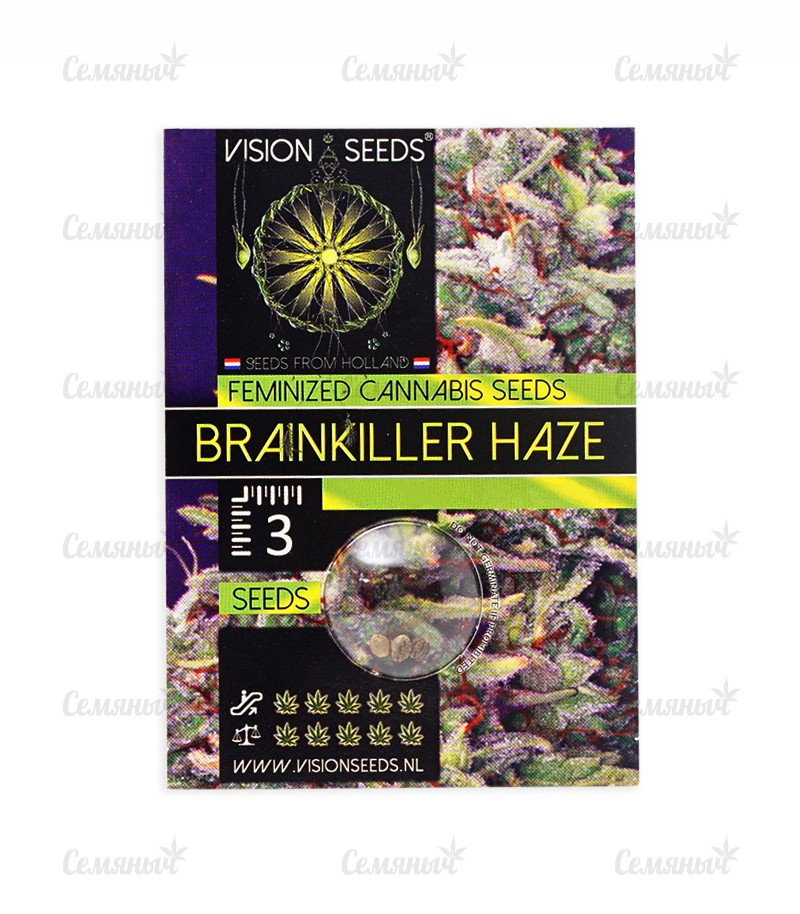 Семена сорта   Brainkiller Haze fem (Vision Seeds) 