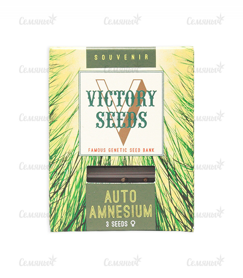 Семена сорта   Amnesium fem (Victory Seeds) 