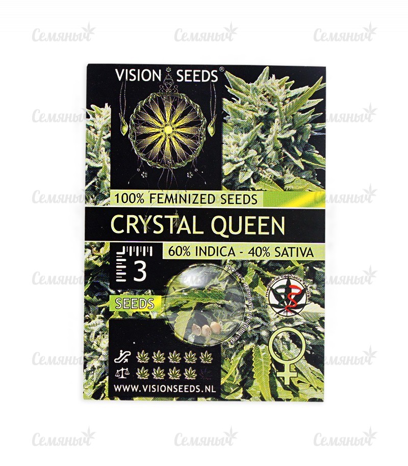 Семена сорта   Crystal Queen fem (Vision Seeds) 