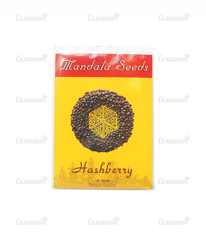 Семена сорта   Hashberry regular (Mandala Seeds) 