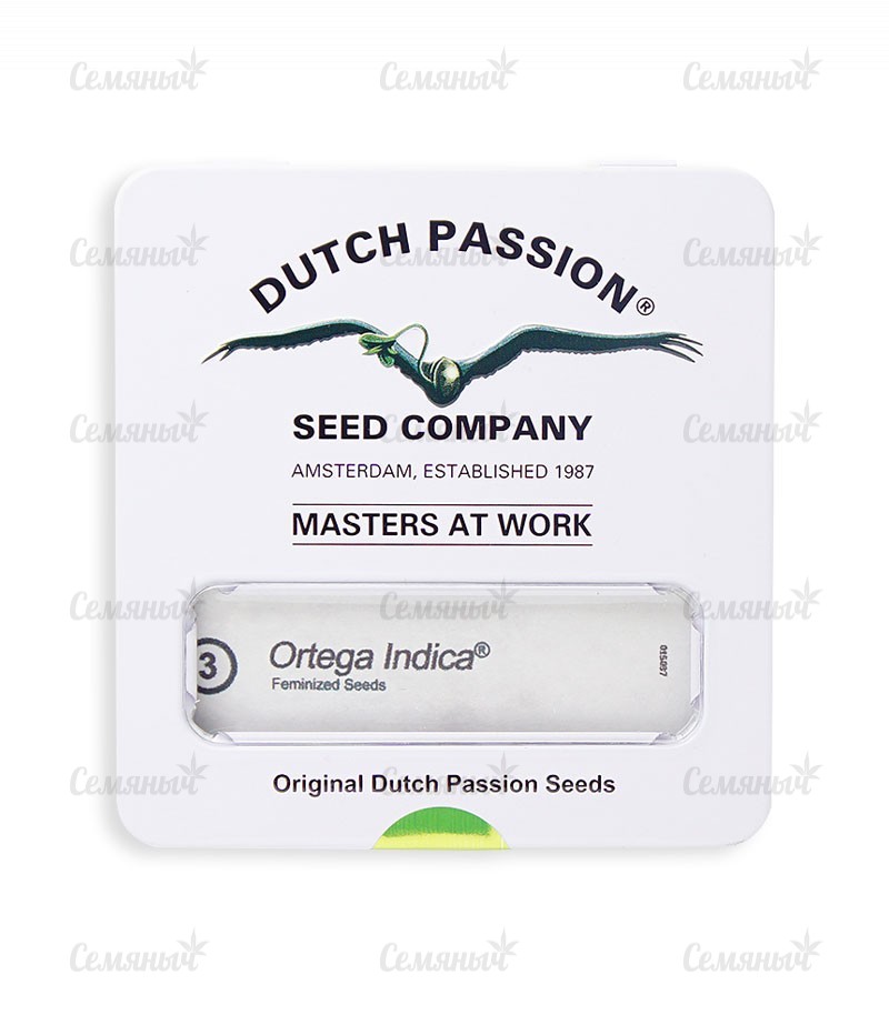 Семена сорта   Ortega Indica fem (Dutch Passion) 