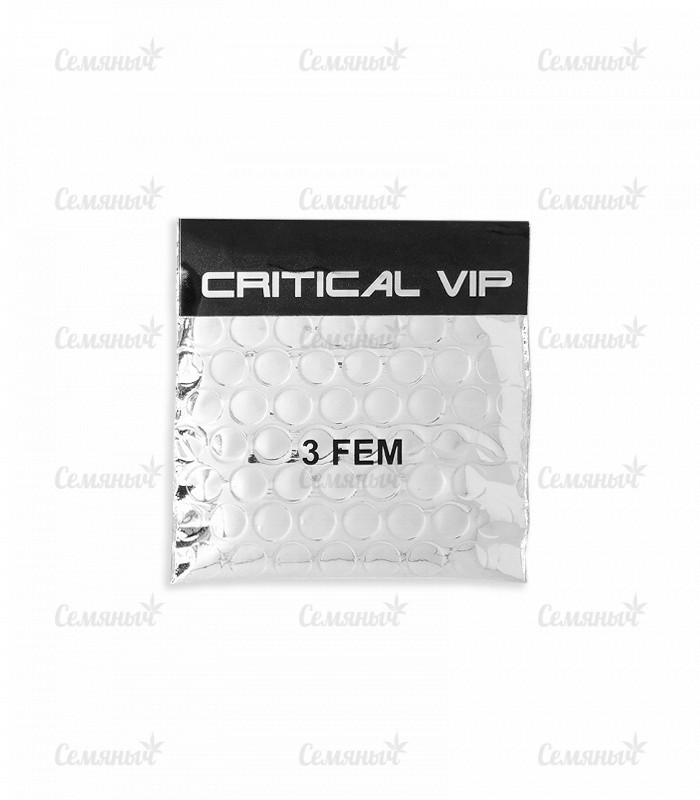 Семена сорта   Critical VIP fem (VIP seeds) 