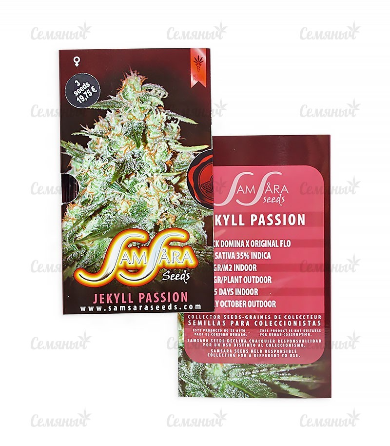 Семена сорта   Jekyll Passion fem (Samsara Seeds) 