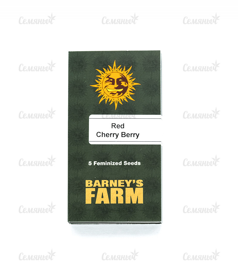 Семена сорта   Red Cherry Berry fem (Barneys Farm) 