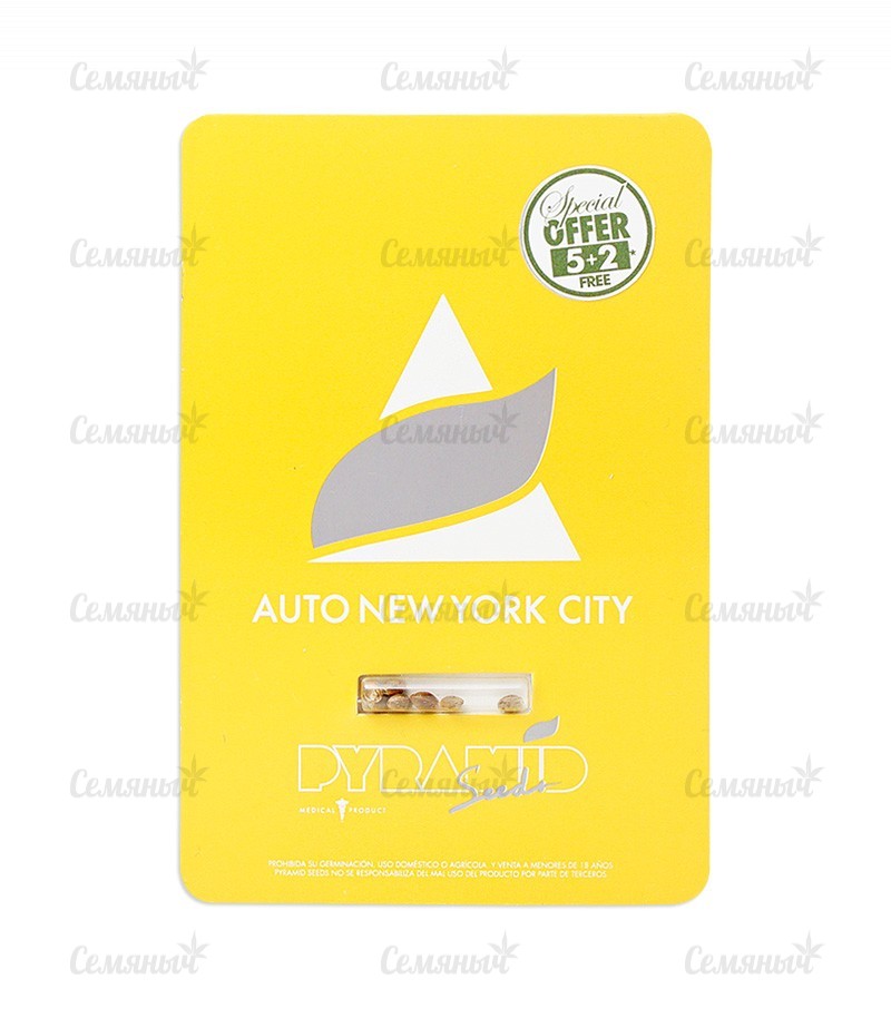 Семена сорта   Auto New York City fem (Pyramid Seeds) 