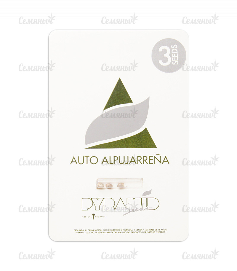 Семена сорта   Auto Alpujarrena fem (Pyramid Seeds) 