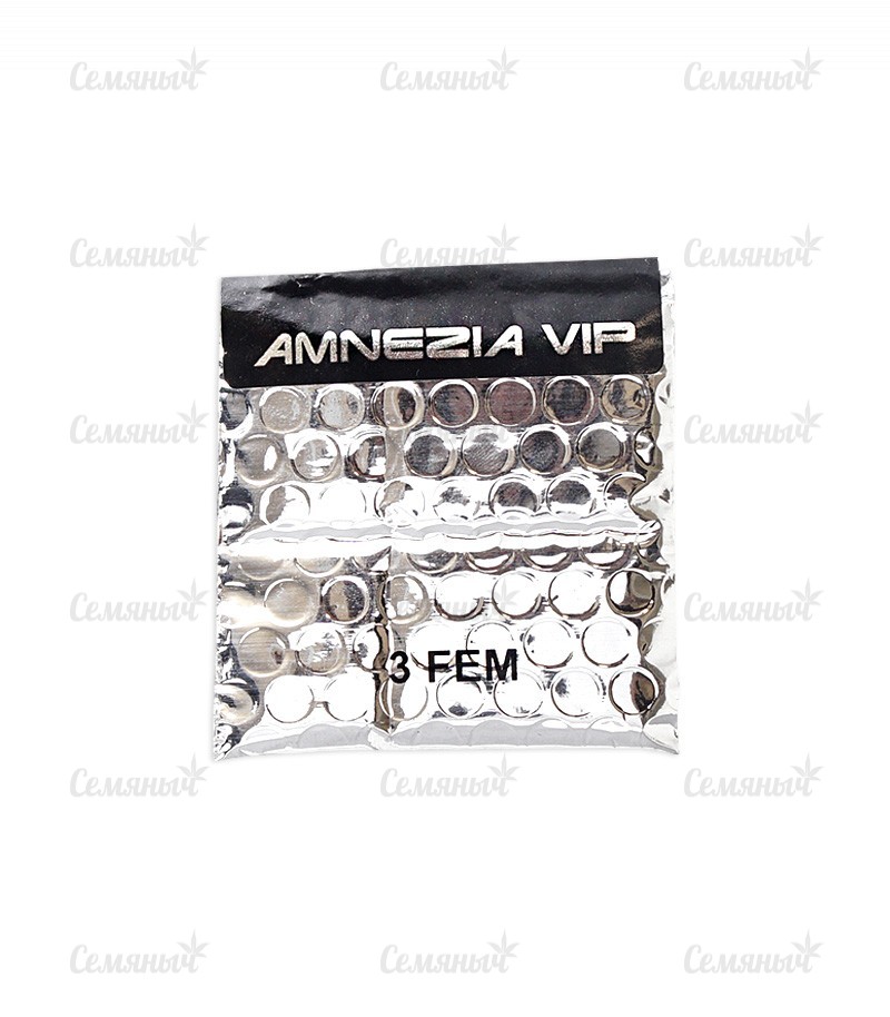 Семена сорта   Amnesia Vip fem (VIP seeds) 