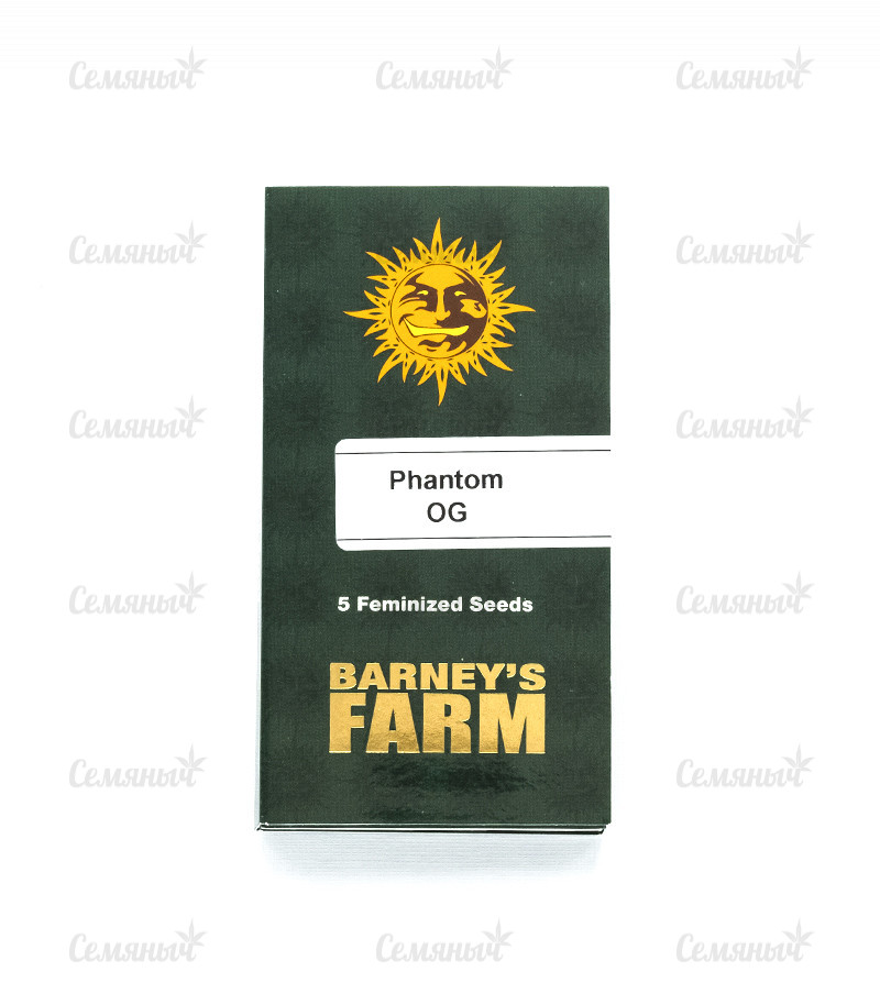 Семена сорта   Phantom OG fem (Barneys Farm) 