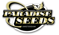 Купить   Paradise Seeds  семена конопли