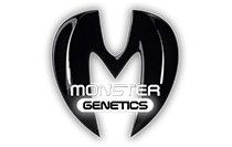 Купить   Monster Genetics Seeds  семена конопли