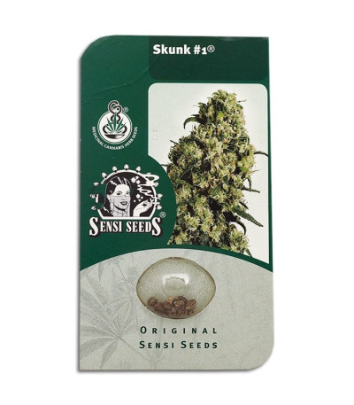 Семена сорта   Skunk #1 regular (Sensi Seeds) 